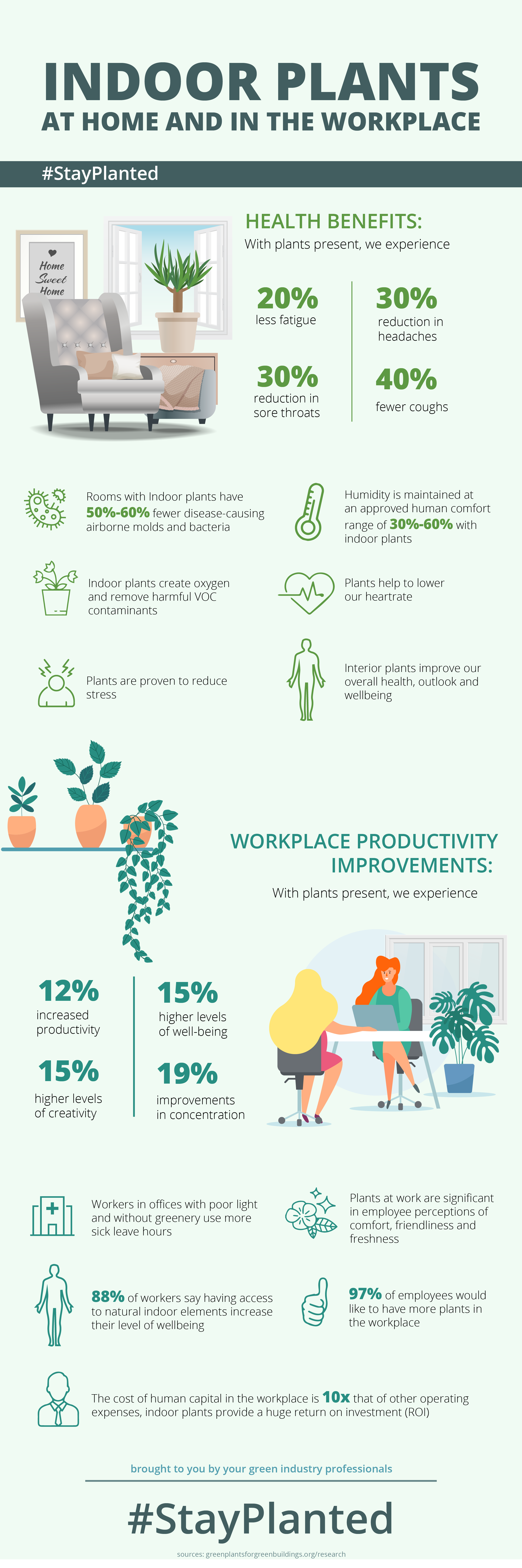 Indoor Plants at Home & In the Workplace
