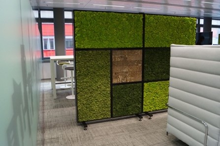 Avant Garden Green Screen for the Workplace