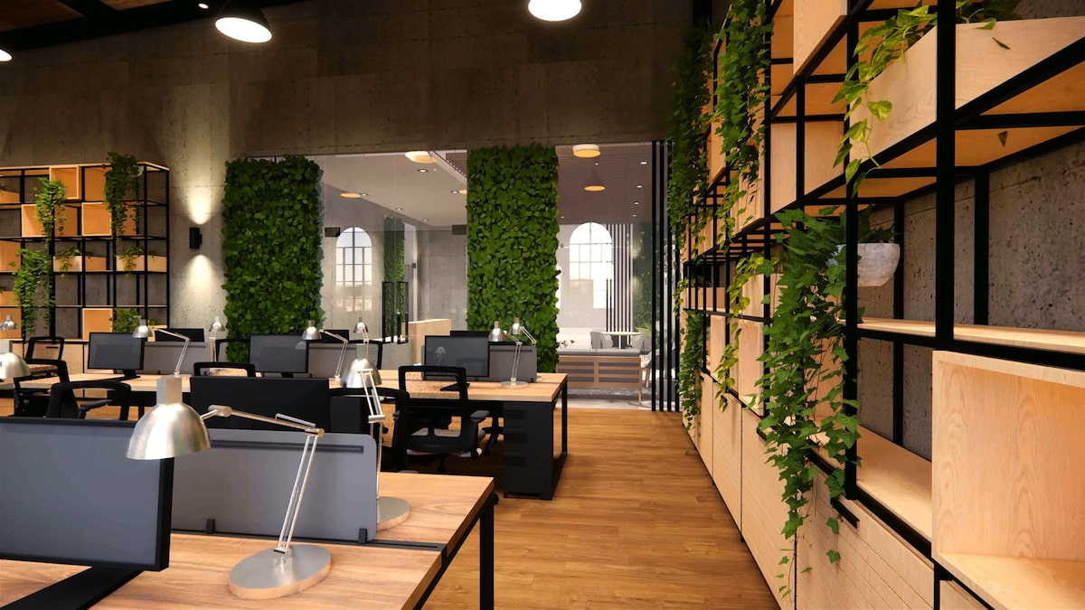 Plants improve workspaces
